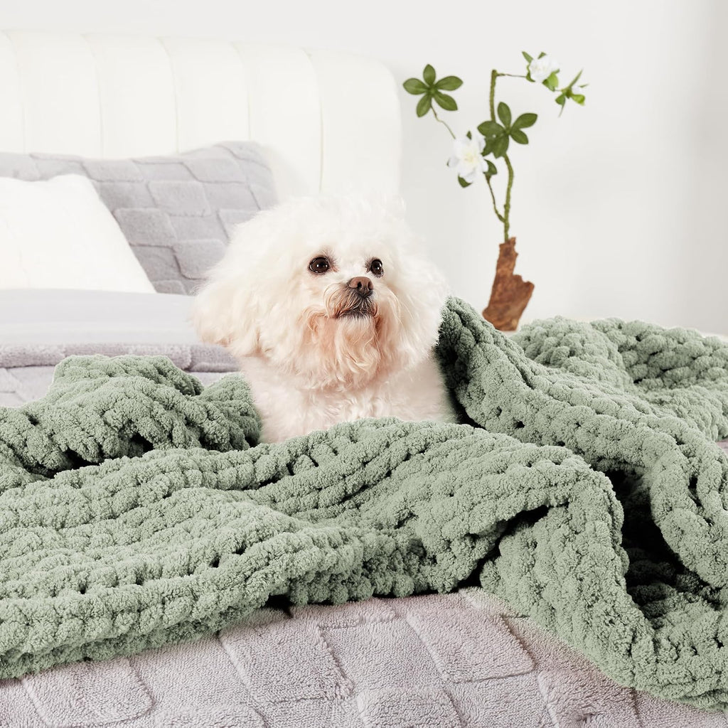 Home Sage Green Chenille Knit Throw Blanket